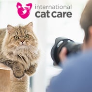 iCatCare
