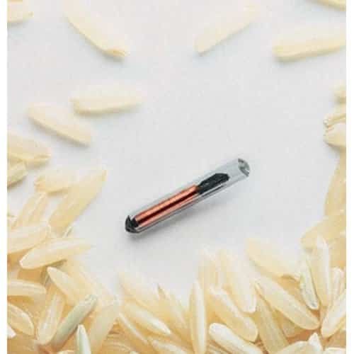 Microchip with The Bayer Tracer Applicator Microchip with The Bayer Tracer Applicator