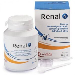 Renal N Candioli