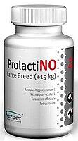 VetExpert ProlactiNO Large Breed