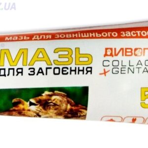 How to Treat Dog Wounds